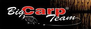bigcarp.com
