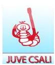 http://juvecsali.hu/