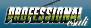 professionalcsali.hu