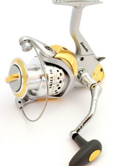 Frenetic Skill FD
