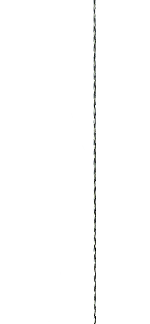 Carp Zoom Anti Eject Rig