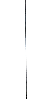 Carp Zoom Combi Rig